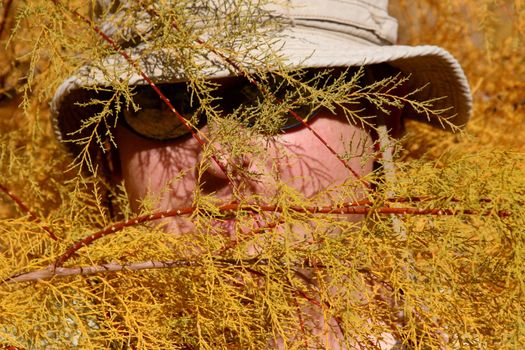 Man hiding in fall foliage.  Is he hunting or just trying to escape detection?