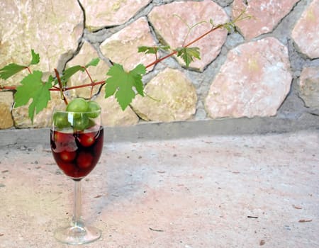 green young vine shoot with red wine glass over stone fence