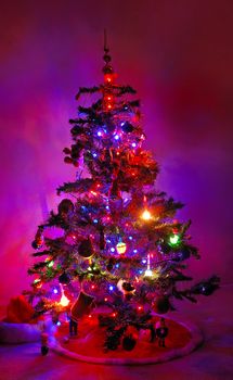 Christmas Tree Glowing in the Dark
