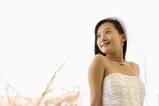 Portrait of an Asian bride.