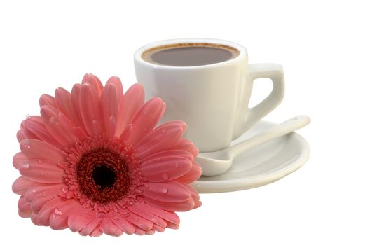 cup of coffee with a gerbera daisy isolated with Path