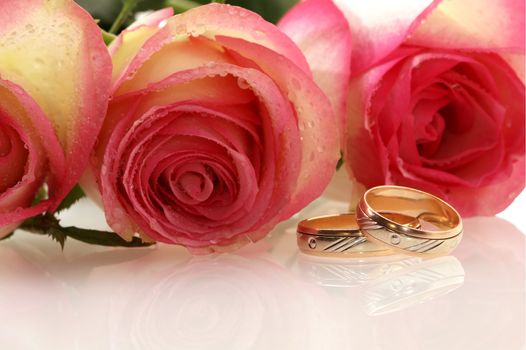 two wedding rings with tree roses as a background