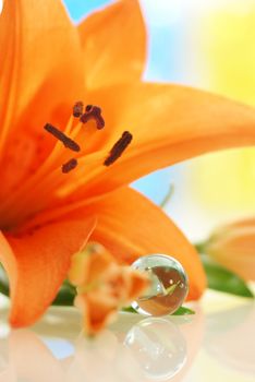 Orange lily close up with glass ball and reflection