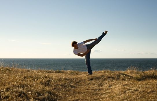 martial arts master high-kicking