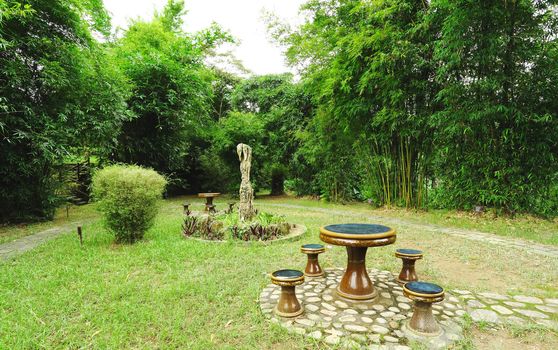 chinese garden in bamboo forest