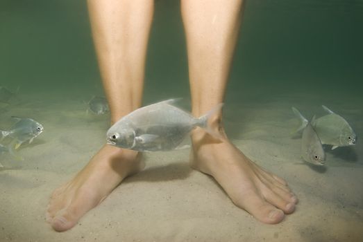 Legs and feet underwater with fish swimming around