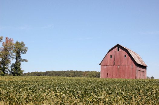 Red Barn on Right