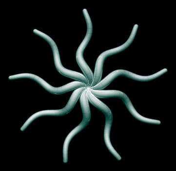 Abstract organic star on black background - 3d illustrationii