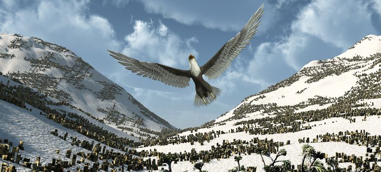 An eagle flying high in the sky.
