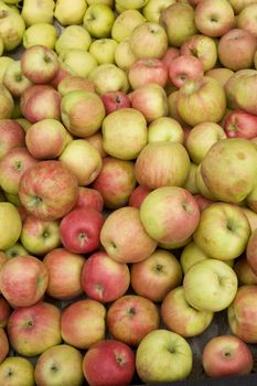 looking down at pile of apples