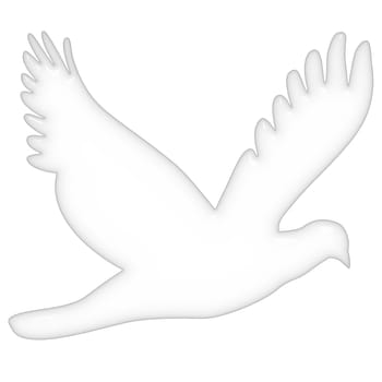 3d dove isolated in white