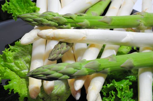 Green and white asparagus on a bed of lettuce