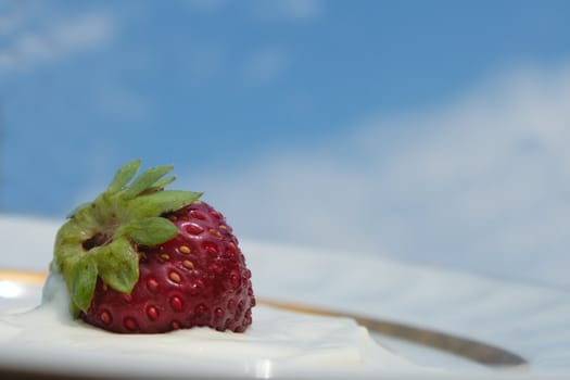 single tasty fresh strawberry on plate with cream over sky