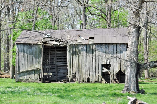 Weathered Barn