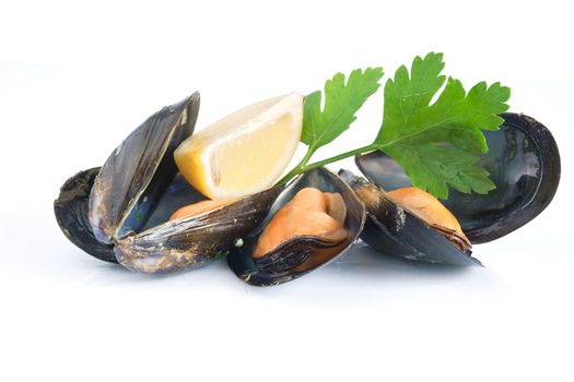 three mussels boiled with lemon and parsley isolated on white background