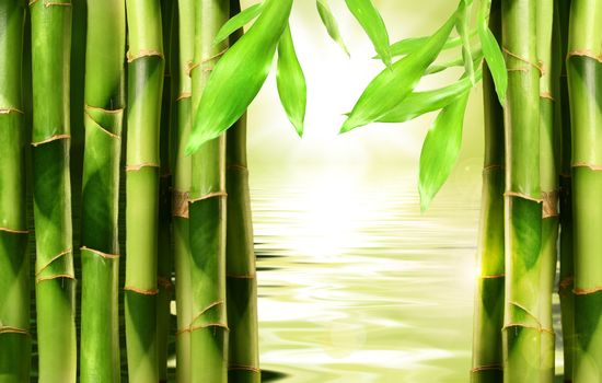 Bamboo shoots stacked side by side