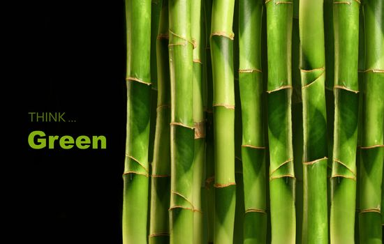 Bamboo shoots stacked side by side