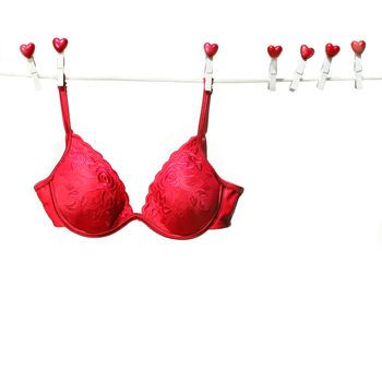Fancy red bra hanging on clothesline with white background
