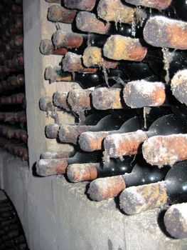 old wine bottles with mold in curing cellar