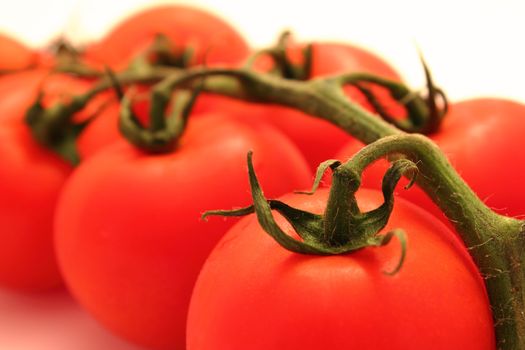 Close-up of fresh tomatos with branch on white background
