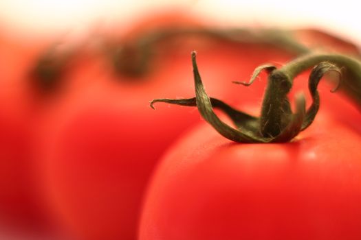 Macro of fresh tomato with tomatos and branch and white in background