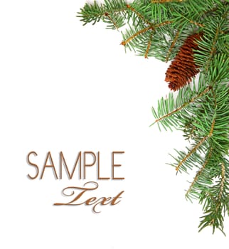 Christmas Rustic Image of Pine Tree Stems and a Pinecone on White Background With Copyspace For Your Design