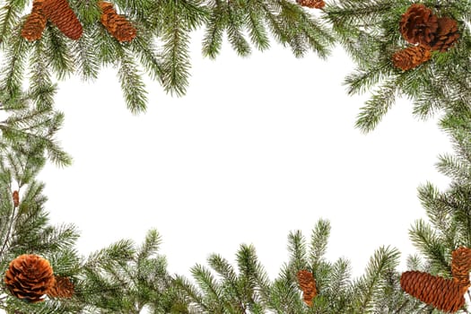 Christmas Tree Branches and Pinecones on a White Background