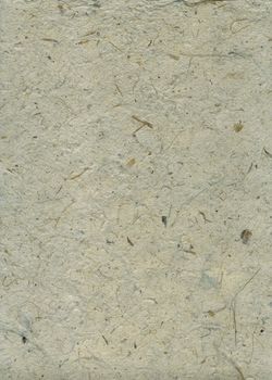 Detail of the surface of the handmade paper with remains of plants - natural product