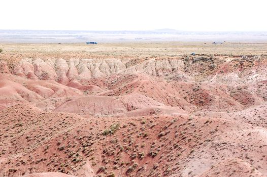 Petrified Desert