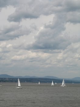 sail boats on the ocean