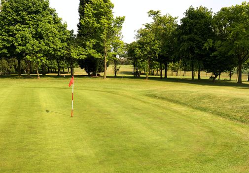 Green golf course landscape