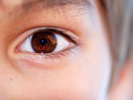 human brown opened beautiful eye close up