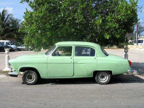 old green car