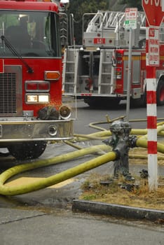 fire trucks and hydrant