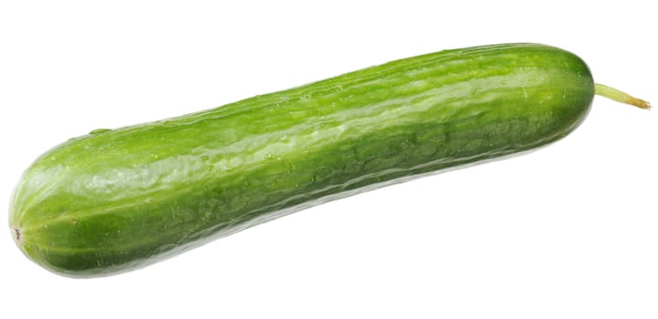 A long green fresh cucumber with a sticking out sprig lying on a table