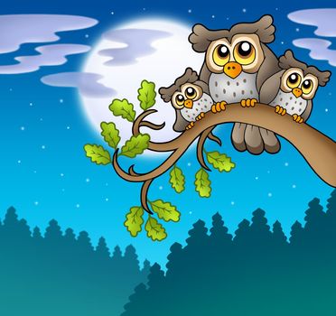 Cute owls on branch at night - color illustration.