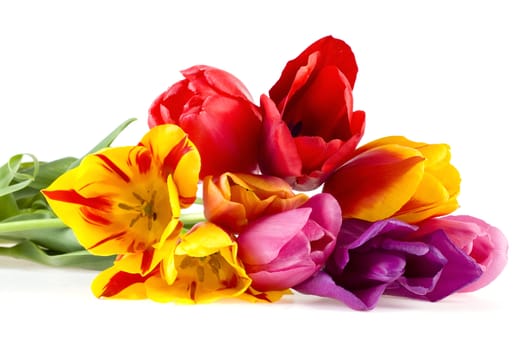 a lot of colorful tulips on white