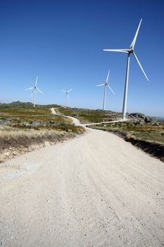 wind turbines black and white