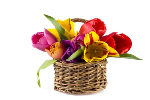 beautiful tulips in a basket