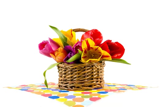 beautiful tulips in a basket
