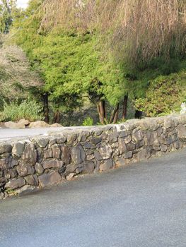 paved path by a garden