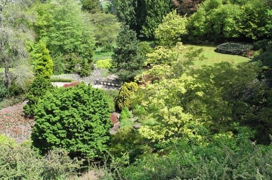 large garden in the summer