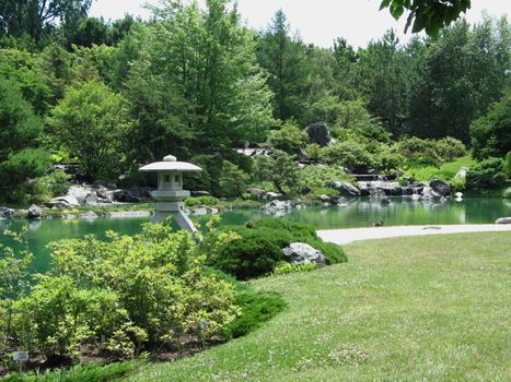 large garden in the summer