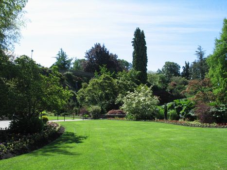 large garden in the summer