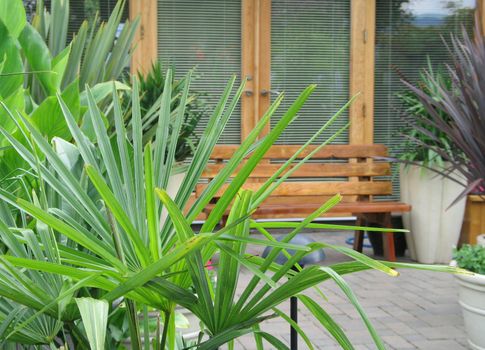 garden area and patio