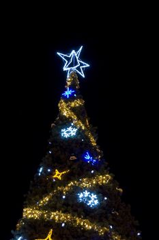 beautiful christmas tree in city in Poland