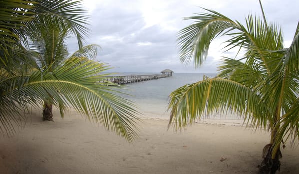 Tropical view of beach with a dock stretching out to sea