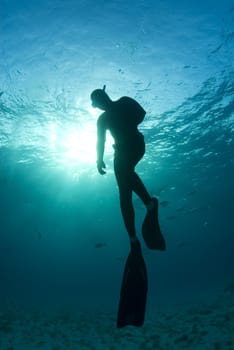 A freediver, silhouetted by the sun shining through from the surface, takes one last look as he begins his ascent to the surface