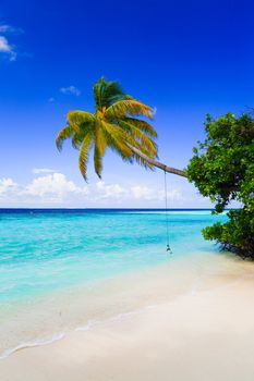 Tropical Paradise at Maldives with palms and blue sky