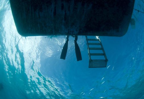 A freediver takes a break on the swim platform, as seen from below the boat.